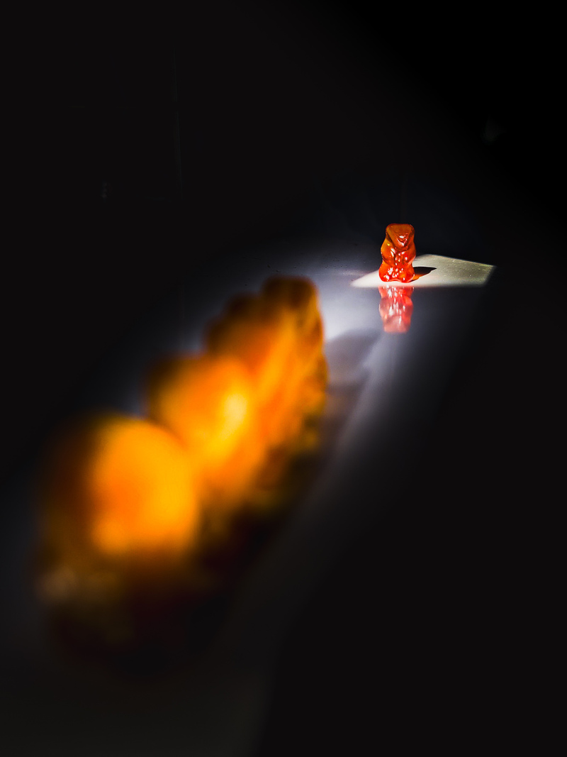 Історія маленької Української сім'ї_2