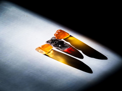 Історія маленької Української сім'ї_3