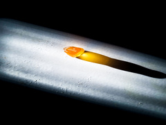 Історія маленької Української сім'ї_4