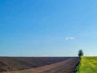 с.Зеленів Чернівецька область