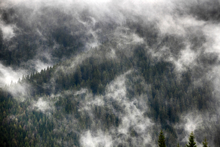 Дощова погода