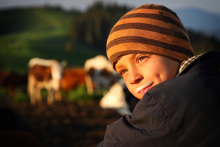 Парне молоко