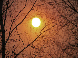 Пробудження