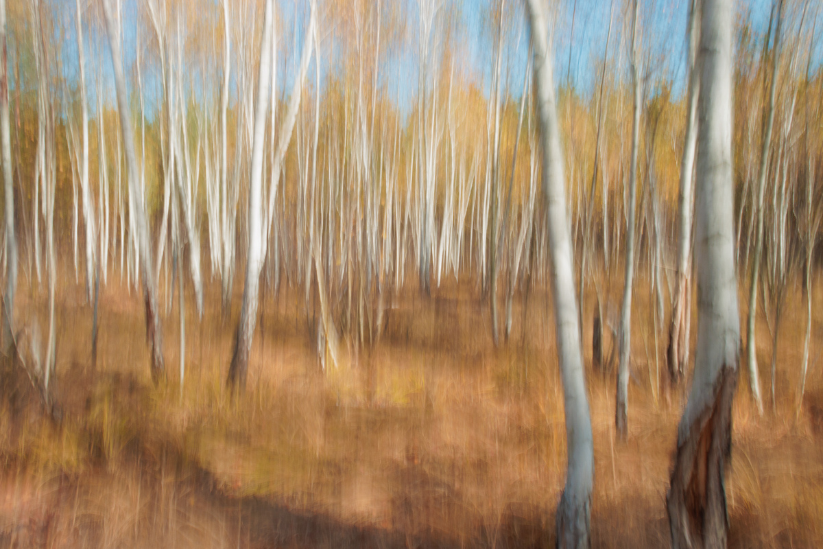 Імпресія осені