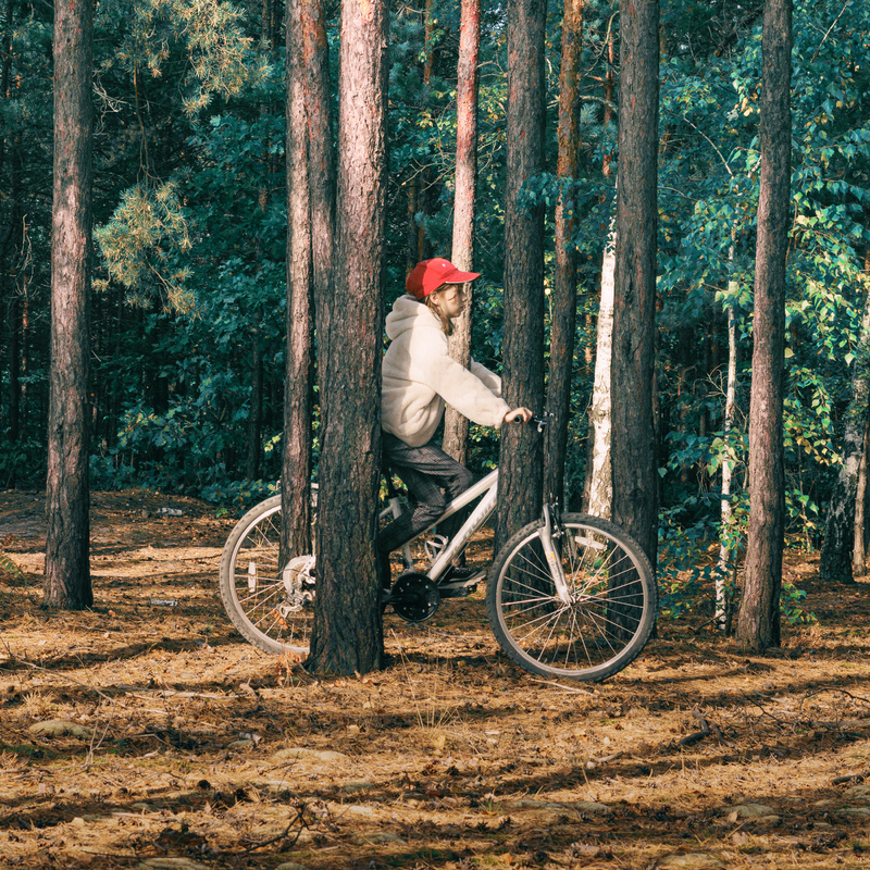 В пошуках Рене