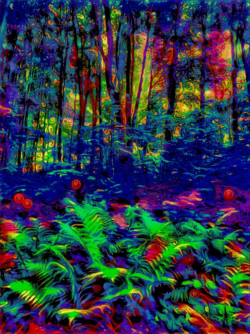 Ніч,коли цвіте папороть 