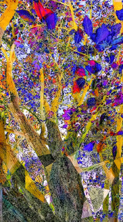 Древо життя