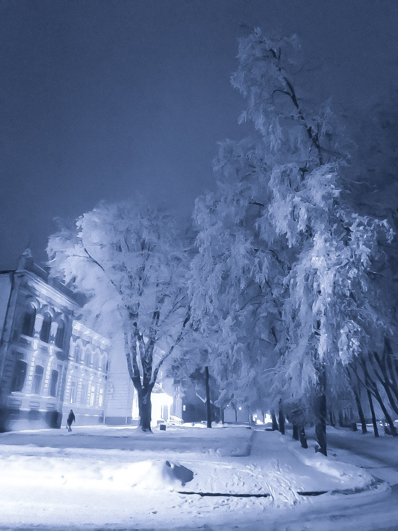 Різдвяна  ніч