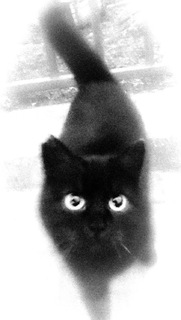 Близькі контакти третього ступеня