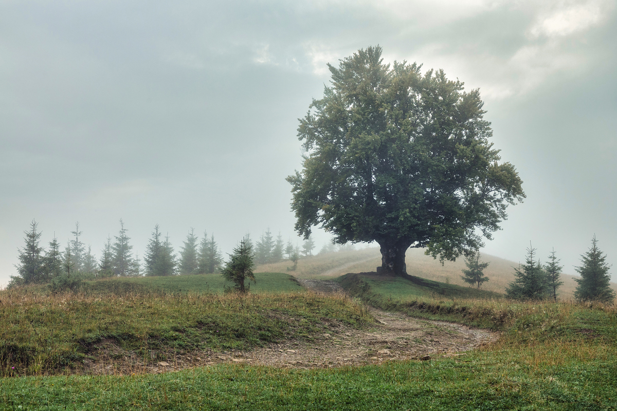 Вартові перевалу