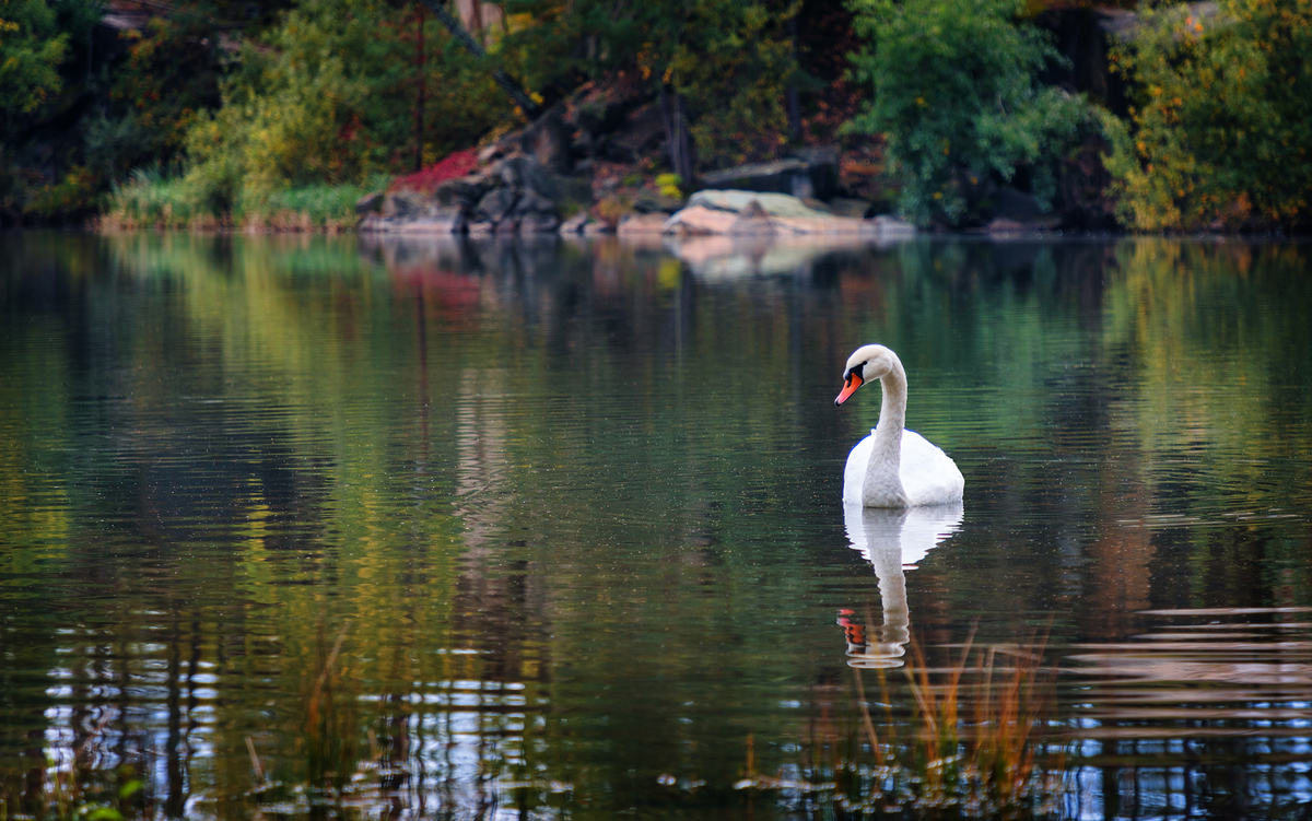 Він чекає на неї