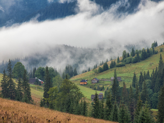 Там роблять сир