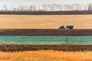 Смугаста осінь