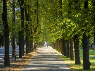 Липова алея