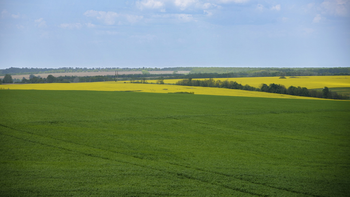 Рідний край