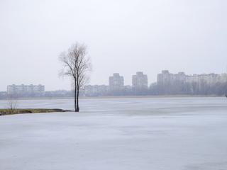 Туманний ранок