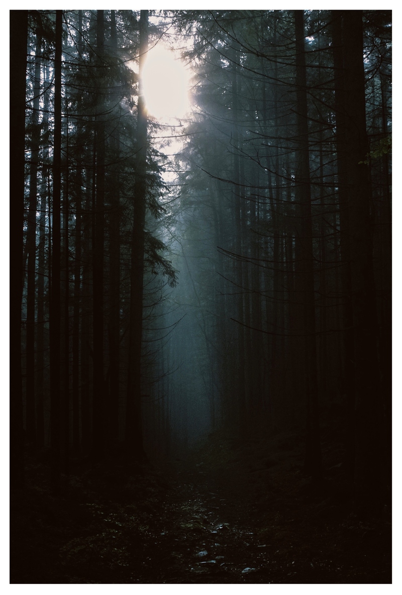 Природне світло у темряві