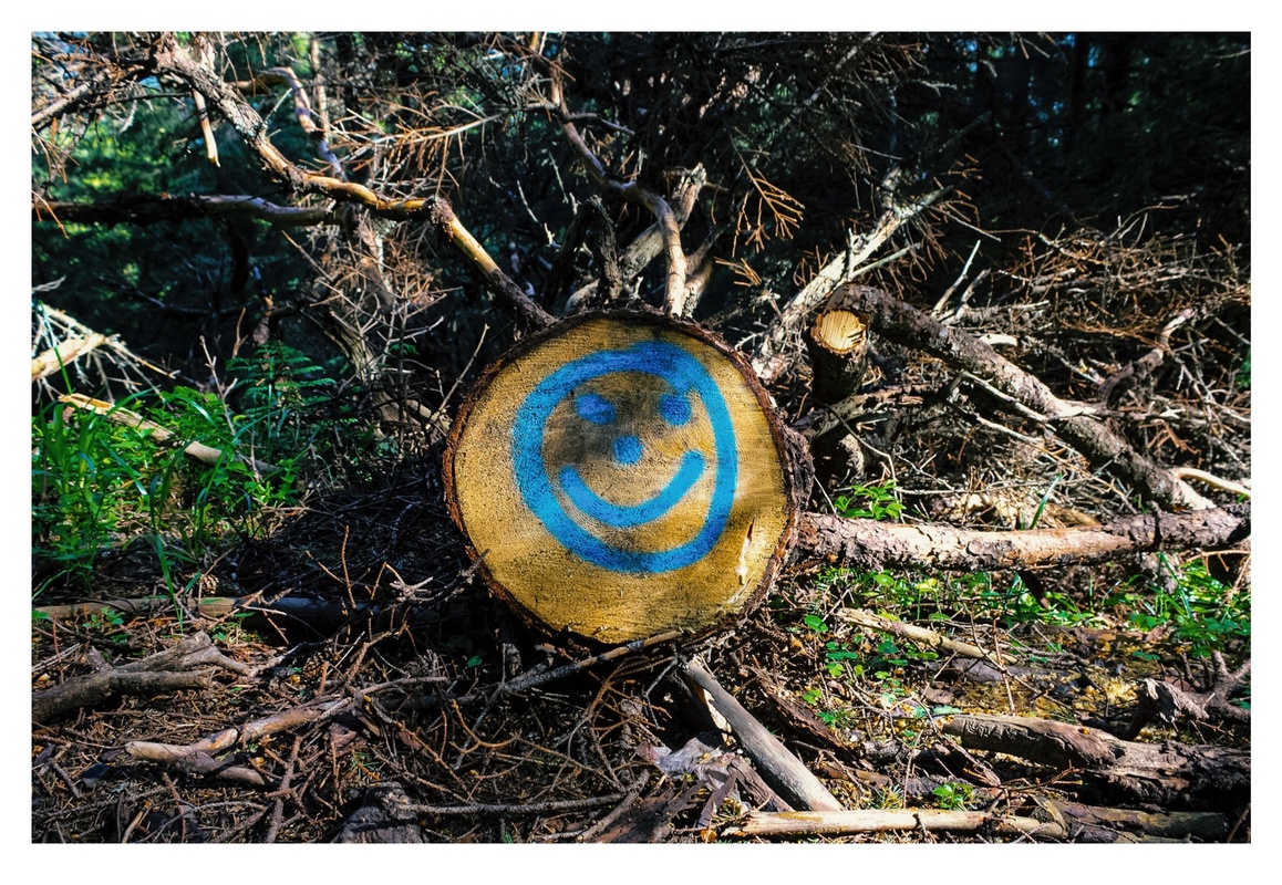 Посмішка природи