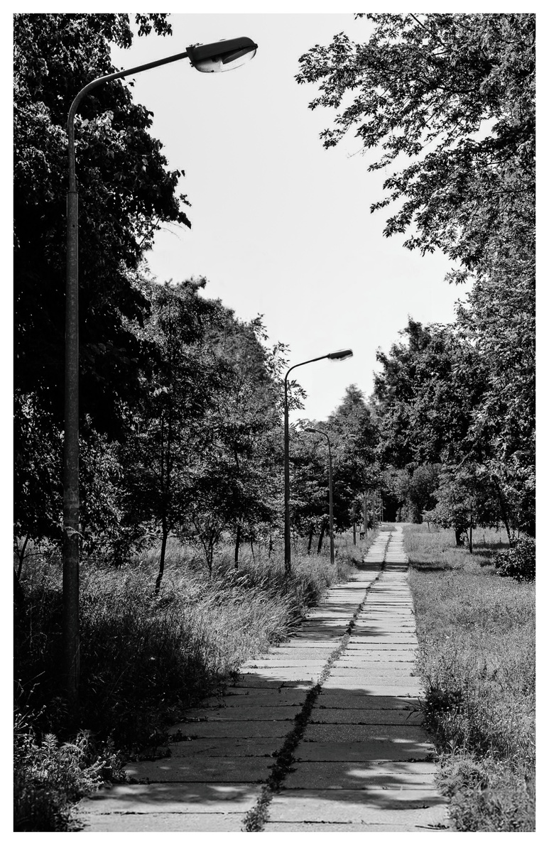 Дорога тиші