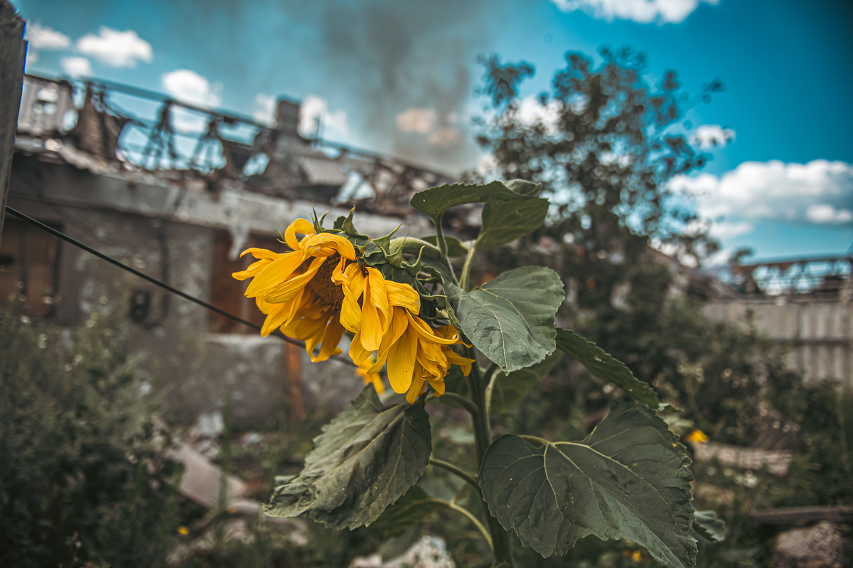 Після обстілу запалювальними снарядами в Ласточкино