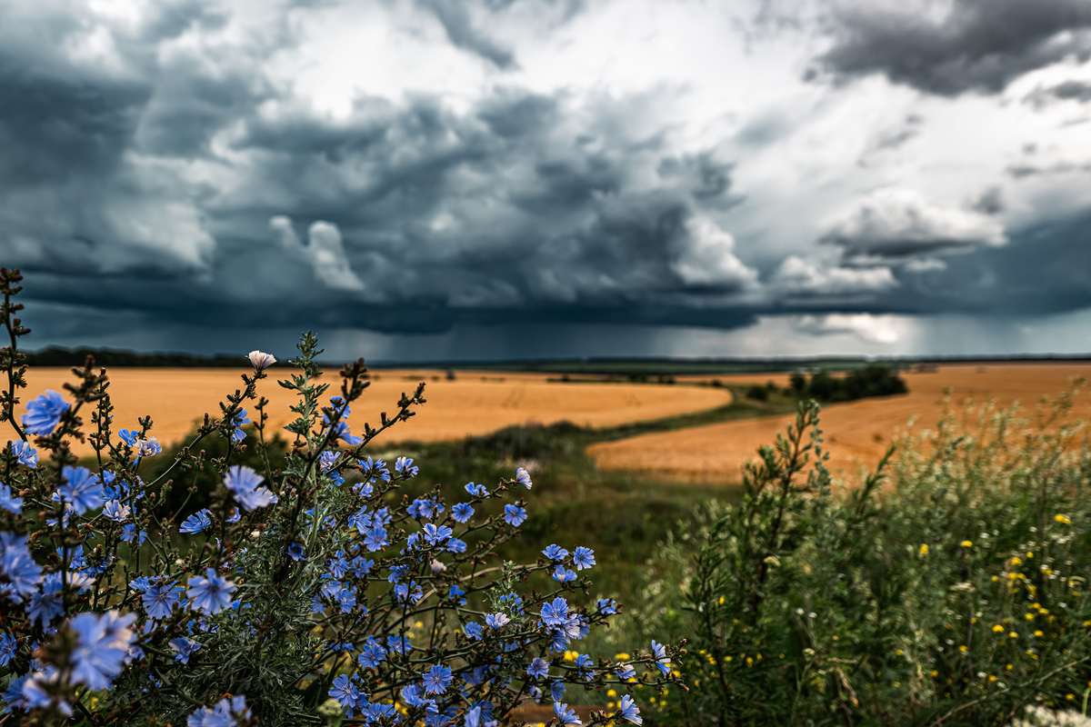 Харківщина