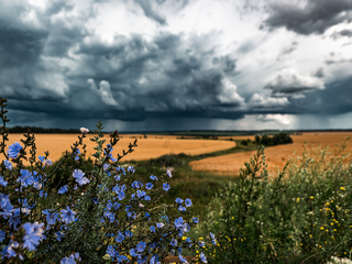 Харківщина