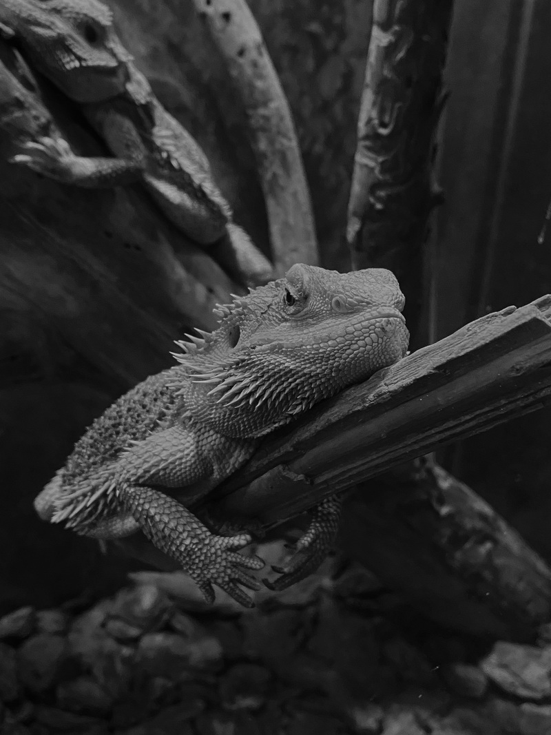 Пильний нагляд