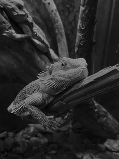 Пильний нагляд