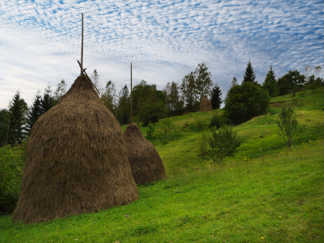 Схили Карпат