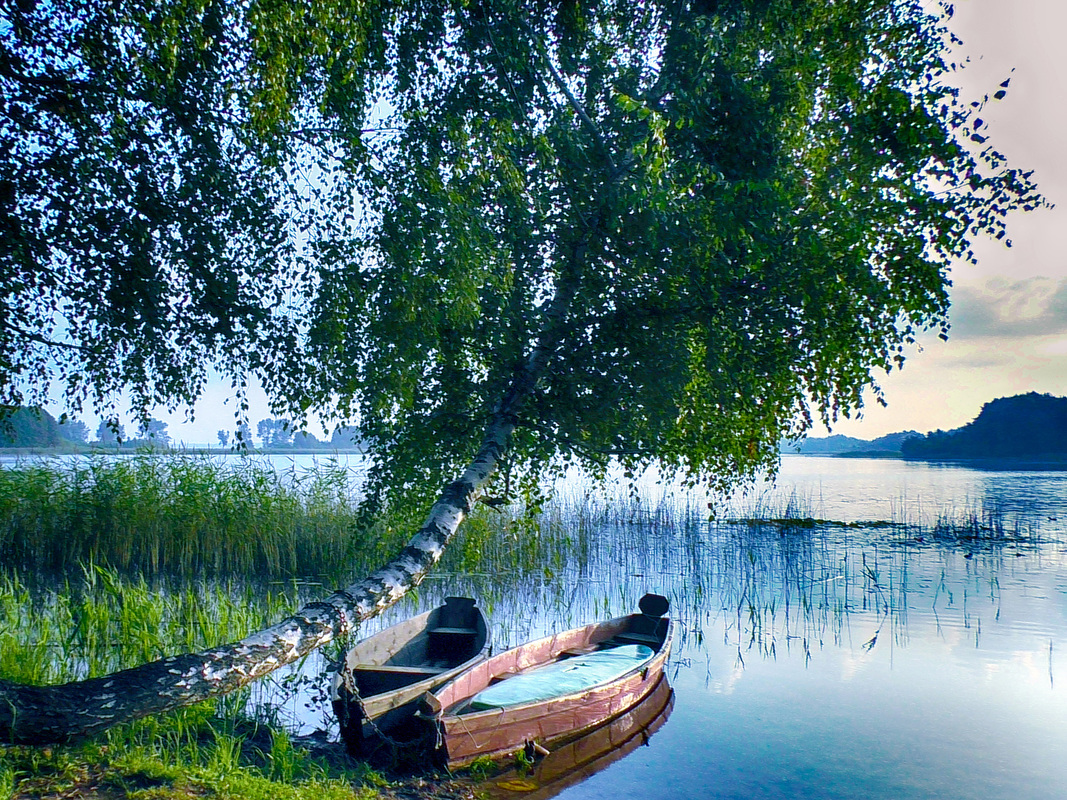 Каховські плавні