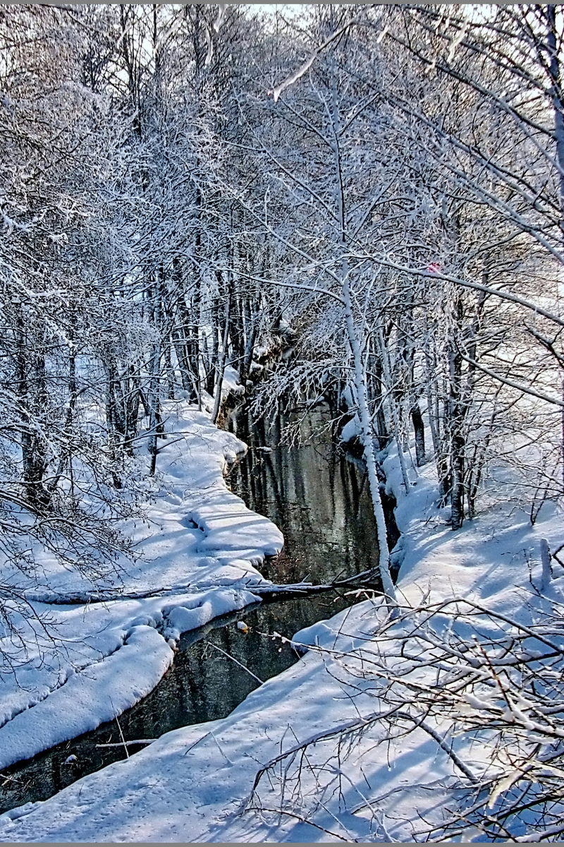 зімова казка