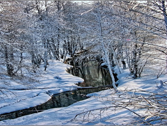 зімова казка