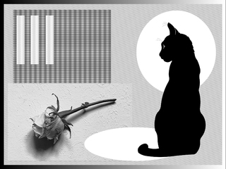 Чорна кішка, біла троянда та геометрія місяця