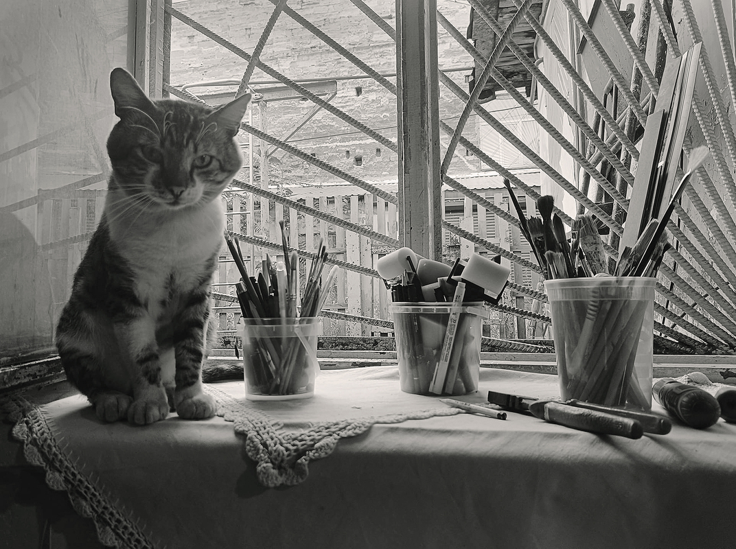 Непроханий сірий гість