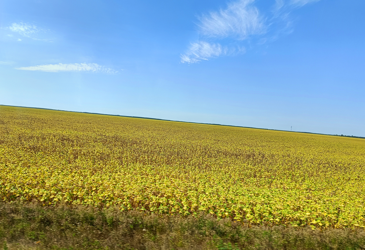 Просторами коханої країни