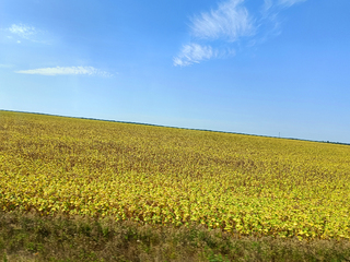 Просторами коханої країни