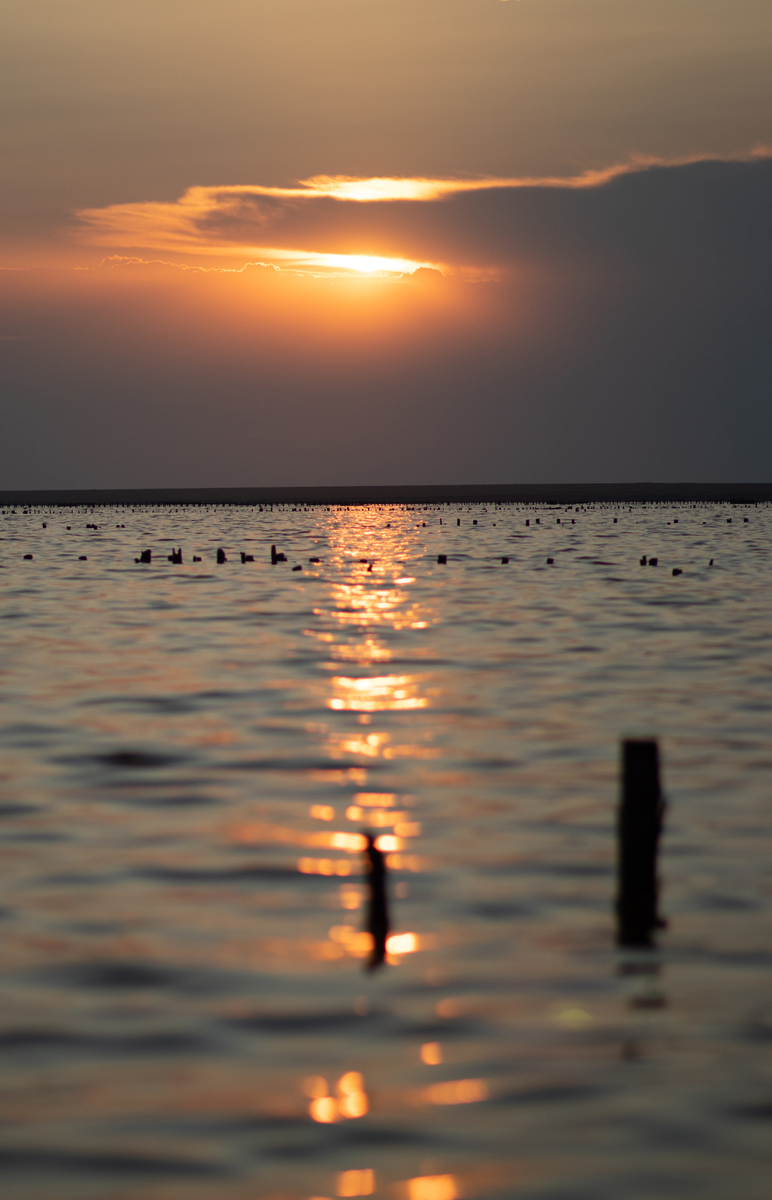 Milky Way_Чумацький_шлях