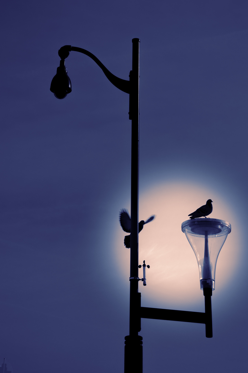 Street lamps