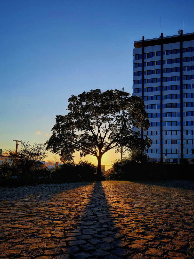 Guardian_Вартовий