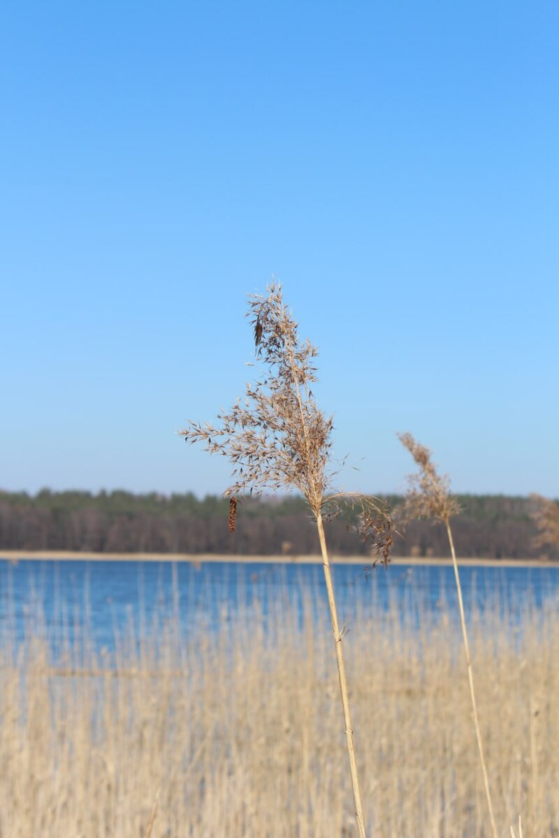 Ти і я два береги