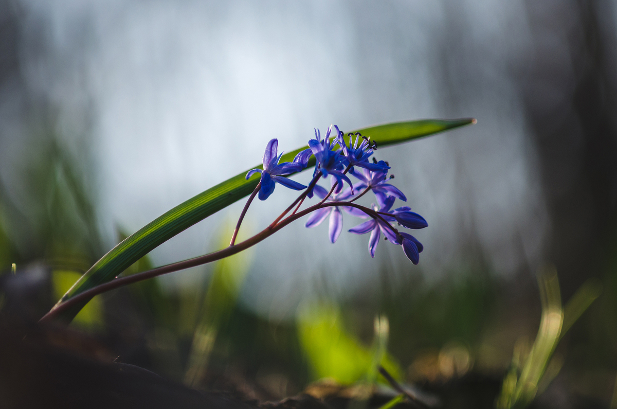 Початок весни