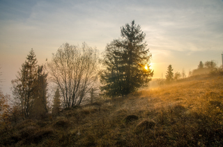 October morning sunshine