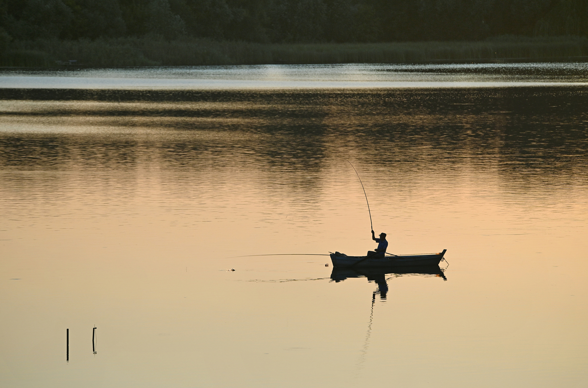 Evening on the lake