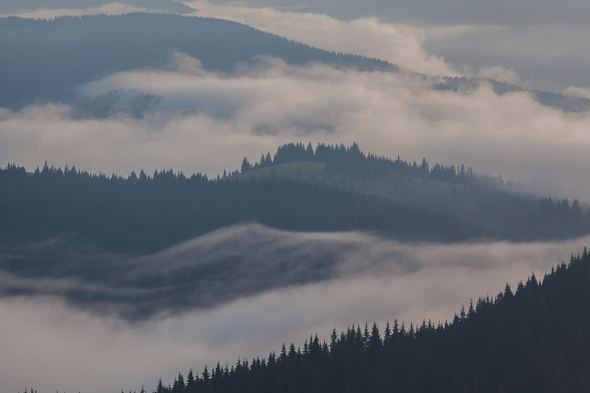 Polonyna Slupova, Karpaty_2