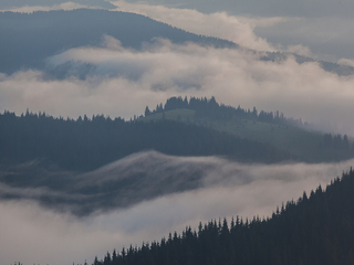 Polonyna Slupova, Karpaty_2